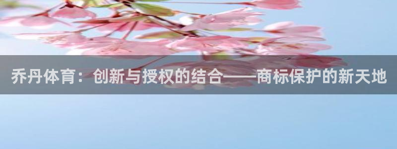 vsport体育在线官网