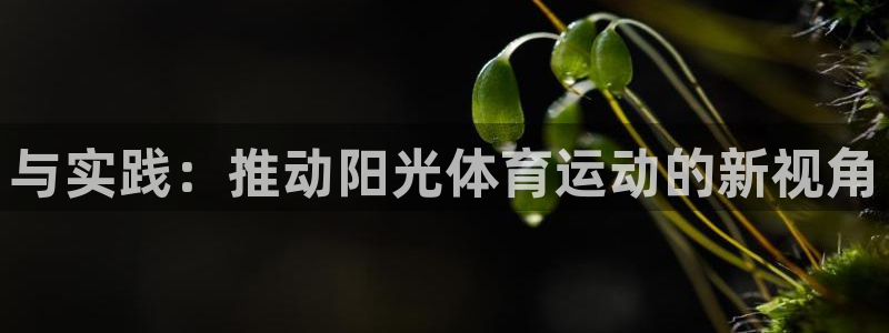 vsport体育在线官网