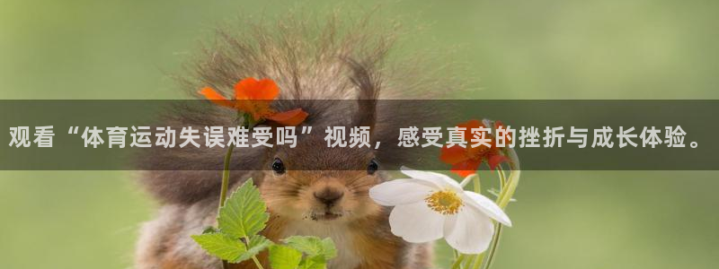vsport体育在线官网