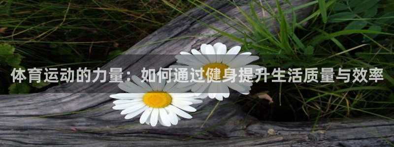 vsport体育在线官网