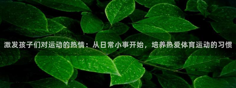 vsport体育在线官网