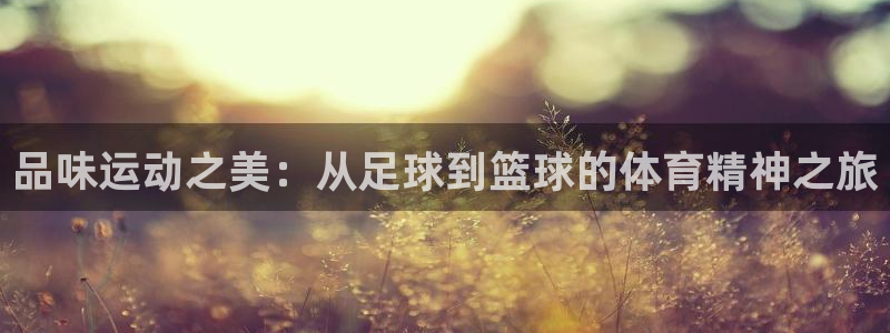 vsport体育在线官网