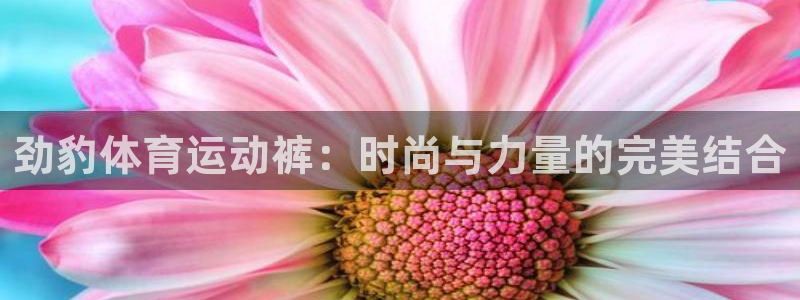 vsport体育在线官网