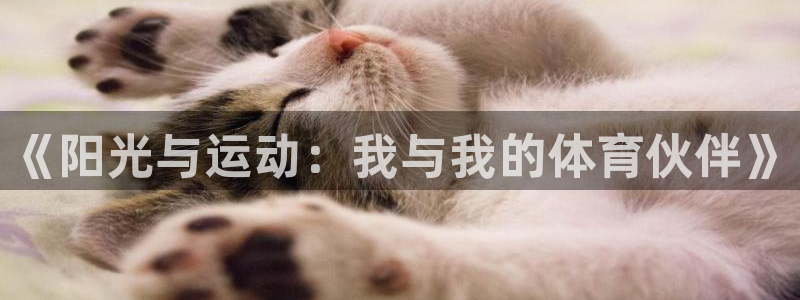 vsport体育在线官网
