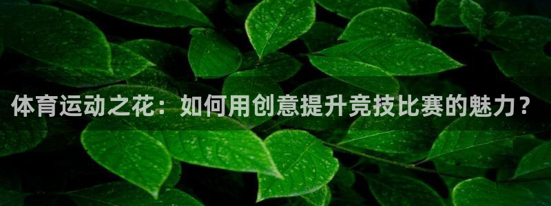 vsport体育在线官网