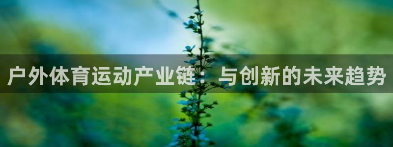 vsport体育在线官网